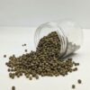 PREMIUM QUALITY GREEN PEPPER - Image 6